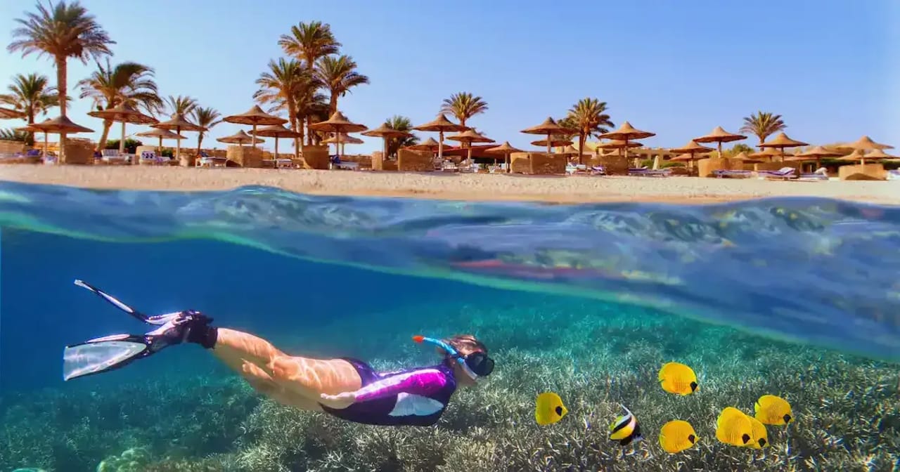 Split view of a snorkeller swimming over coral and yellow fish below a palm-lined beach