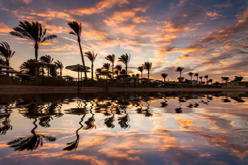 Palm trees reflected in still water at sunset in Hurghada